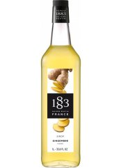 Zázvor 1l