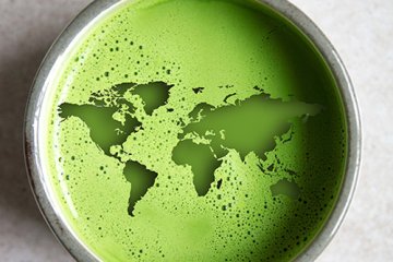 Matcha - celosvětový fenomén