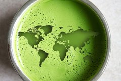 Matcha - celosvětový fenomén Matcha - celosvětový fenomén